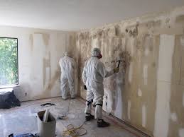 Aiken, SC Mold Removal Company